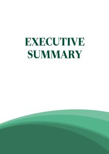 Executive_Summary_Cover